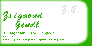 zsigmond gindl business card